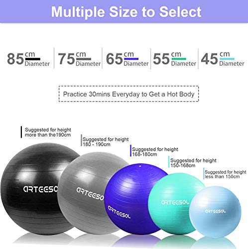 Exercise Ball, Gym Ball Anti-Burst Yoga Ball, 45cm/55cm/65cm/75cm Extra Thick Swiss Ball with Pump, for Fitness Birthing Physio Balance Pilates