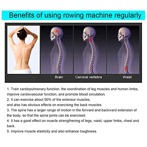 Sport rowing machine, fitness rowing machine, rowing machine for home rowing machine, aerobic fitness equipment, indoor rowing rowing rowing machine for home gymnastics, cardio sports.