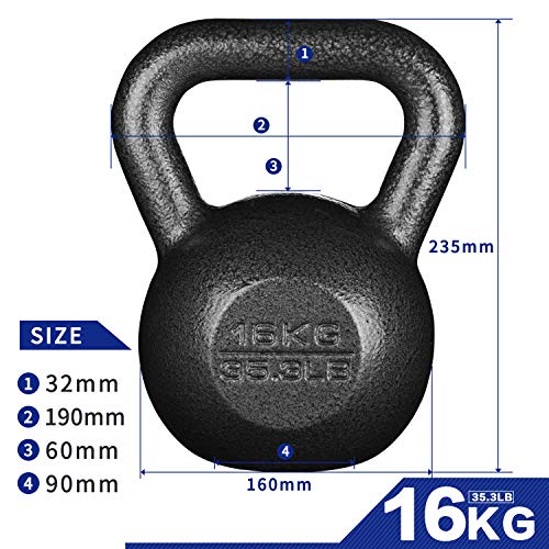 PROIRON Cast Iron kettlebell Weight for Home Gym Fitness & Weight Training (4kg-24kg) (1 x 16KG)