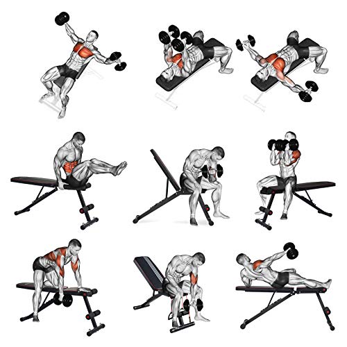Adjustable Weight Bench, Aebow Foldable Weights Bench Fitness Set, Workout Weight Benches for Chest Leg Abs Full Body Strength Training Exercise, Flat Incline Decline Lifting Multifunction Home Gym