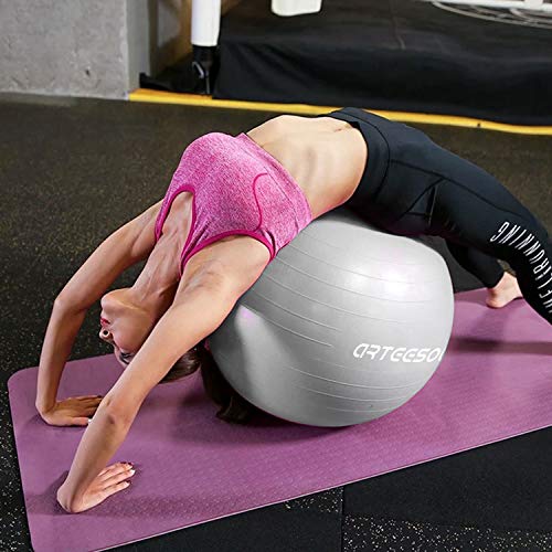 Exercise Ball, Gym Ball Anti-Burst Yoga Ball, 45cm/55cm/65cm/75cm Extra Thick Swiss Ball with Pump, for Fitness Birthing Physio Balance Pilates