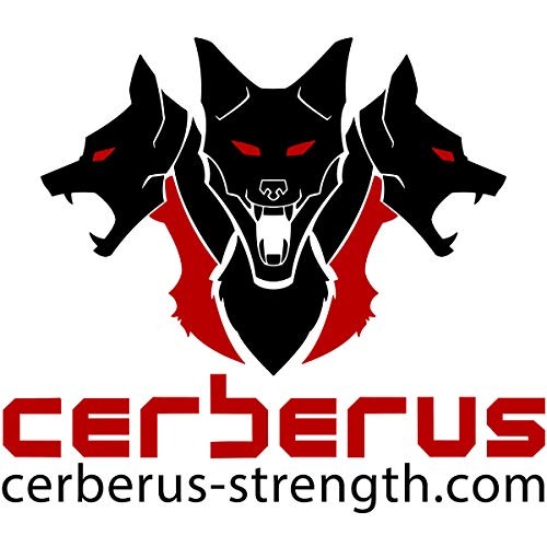 CERBERUS Strength Classic Lever Belt (10mm) (XL (36-43in))