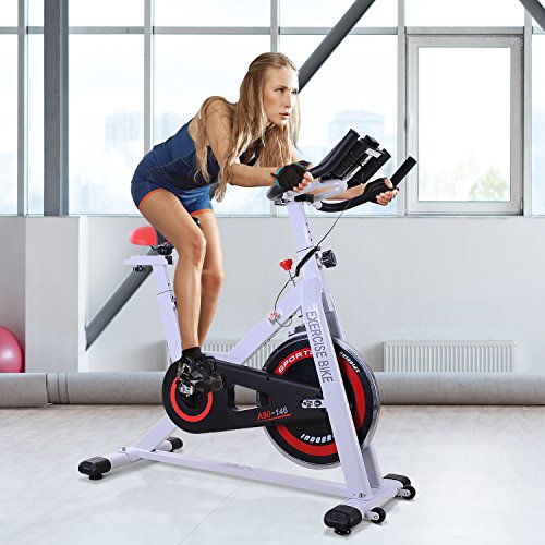 HOMCOM 8kg Spinning Flywheel Exercise Bike Indoor Gym Office Cycling Stationary Cardio Workout Fitness Racing Machine