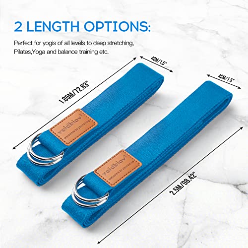 voidbiov D-Ring Buckle Yoga Strap 1.85 or 2.5M, Durable Cotton Adjustable Belt Perfect for Holding Poses, Improving Flexibility and Physical Therapy Lake Blue