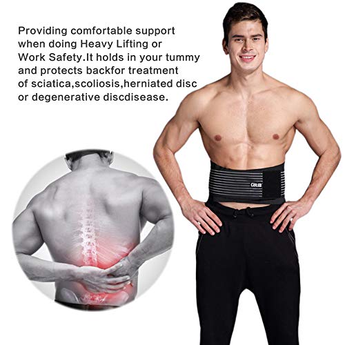 Cotill Lower Back Support Belt - Lumbar Support Brace for Pain Relief and Injury Prevention - Dual Adjustable Straps and Breathable Mesh Panels (L/XL - Waist 83cm to 109cm)