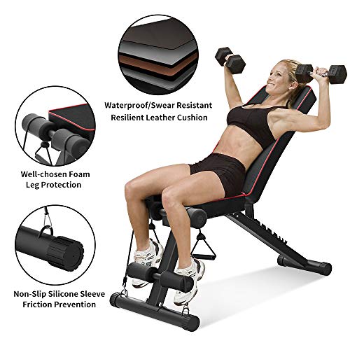 Delfy Adjustable Fitness Weight Bench, Foldable Flat/Incline/Decline Multi-purposed Bench for Home Gym, Full Body Training