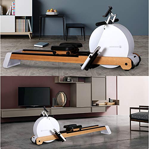 AMZOPDGS Home Rowing Machine,Rowing Machine Foldable,Magnetic Rowing ...