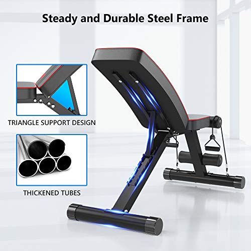 Delfy Adjustable Fitness Weight Bench, Foldable Flat/Incline/Decline Multi-purposed Bench for Home Gym, Full Body Training