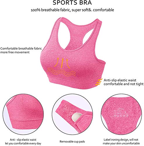 HBselect Women Sports Bra (XXL, Black+Grey+Pink) - Gym Store | Gym Equipment | Home Gym Equipment | Gym Clothing