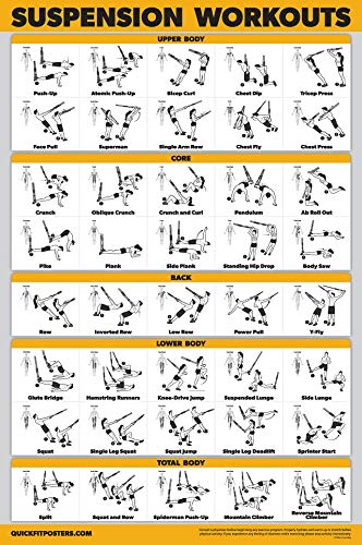 11 Pack - Exercise Poster Set: Dumbbell, Suspension, Kettlebell, Resistance Bands, Stretching, Bodyweight, Barbell, Yoga, Exercise Ball, Muscular System, Medicine Ball (LAMINATED, 18