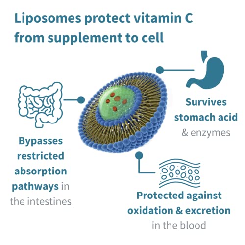 Liposomal Vitamin C 1000mg & Zinc - Liquid Immune Support, with Copper & Selenium, Adults & Kids, 30-90 Servings, by Igennus