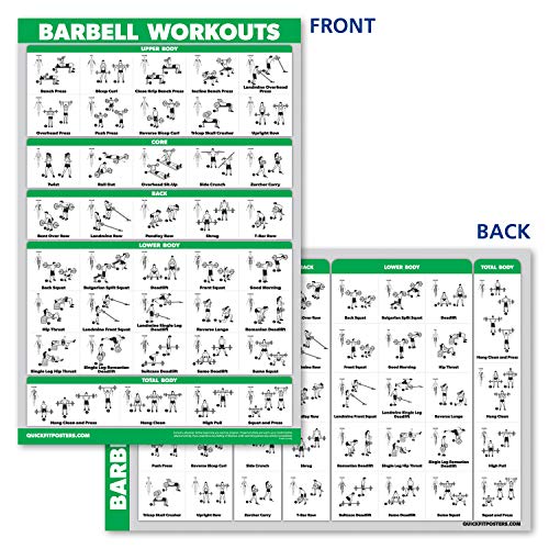 11 Pack - Exercise Poster Set: Dumbbell, Suspension, Kettlebell, Resistance Bands, Stretching, Bodyweight, Barbell, Yoga, Exercise Ball, Muscular System, Medicine Ball (LAMINATED, 18