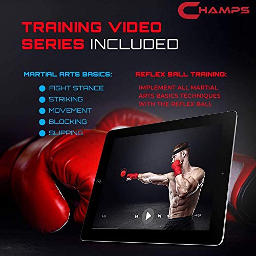 Champs MMA Boxing Reflex Ball Set of 4 Improve Speed, Hand-Eye Coordination  