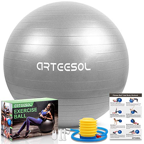 Exercise Ball, Gym Ball Anti-Burst Yoga Ball, 45cm/55cm/65cm/75cm Extra Thick Swiss Ball with Pump, for Fitness Birthing Physio Balance Pilates