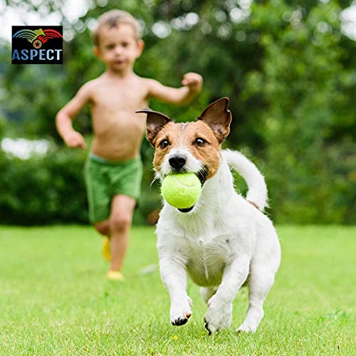 Aspect Practice Tennis Balls, Pressureless Training Exercise Tennis Balls with bag, Soft Rubber Tennis Balls for Beginners, Pack of 24 And 12 (12)