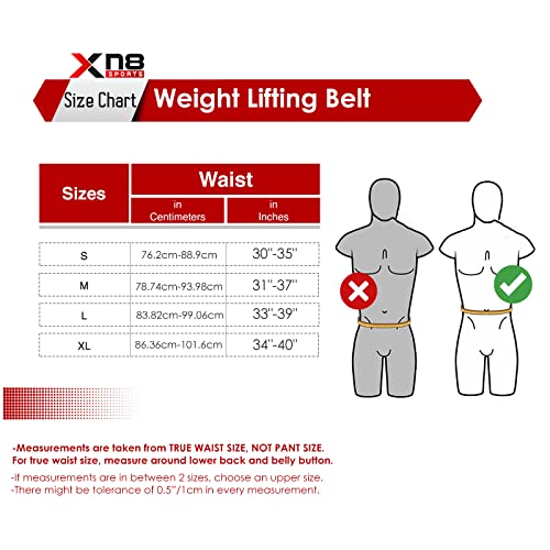 Xn8 Gym Weight Lifting Belt 4 inch Padded Lumbar Back Support Leather Adjustable Belt for Deadlifts-Squats Exercise-Bodybuilding-Powerlifting-Gym Workout and Training L