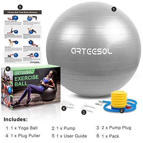 Exercise Ball, Gym Ball Anti-Burst Yoga Ball, 45cm/55cm/65cm/75cm Extra Thick Swiss Ball with Pump, for Fitness Birthing Physio Balance Pilates