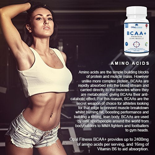 BCAA Tablets, Branched Chain Amino Acids by Opal Fitness Nutrition – Vegan BCAA+ with Vitamin B6 to Aid Absorption - UK Produced and GMP Certified - Suitable for Men and Women – 120 Tablets